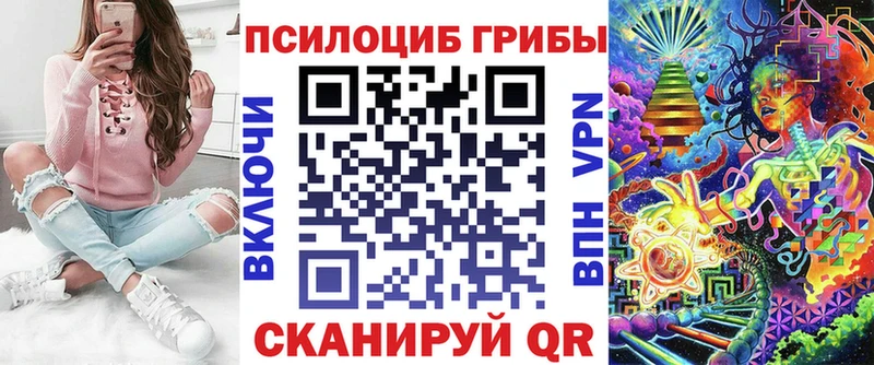 где найти наркотики  Мещовск  Псилоцибиновые грибы GOLDEN TEACHER 